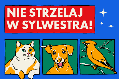 Nie strzelaj w Sylwestra, grafiki kota, psa i ptaka na niebieskim tle.